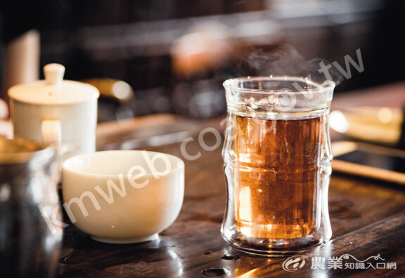 琥珀色的茶湯，是紅烏龍的特色。（攝影／羅正傑）