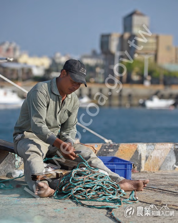面對漁業不景氣，越來越少漁民購入新物，轉而選擇修補生財工具，以節省開支。