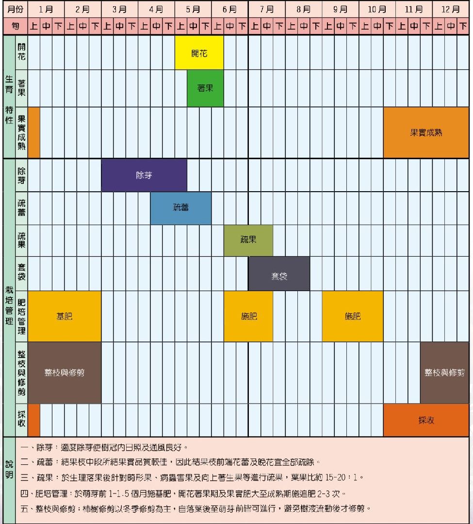 甜柿栽培曆