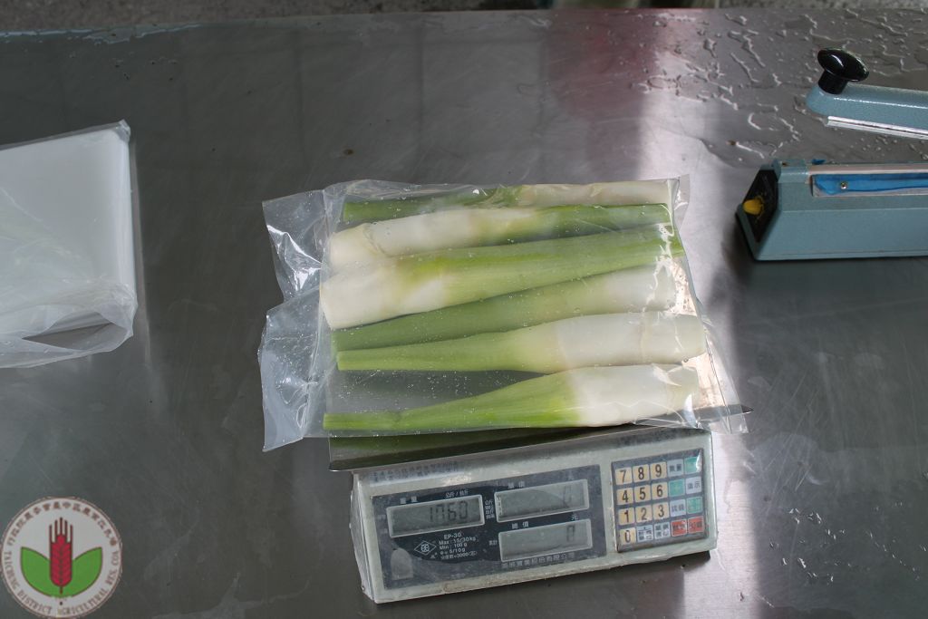 外銷日本的包裝，每小袋約1公斤，裝8-10支茭白筍