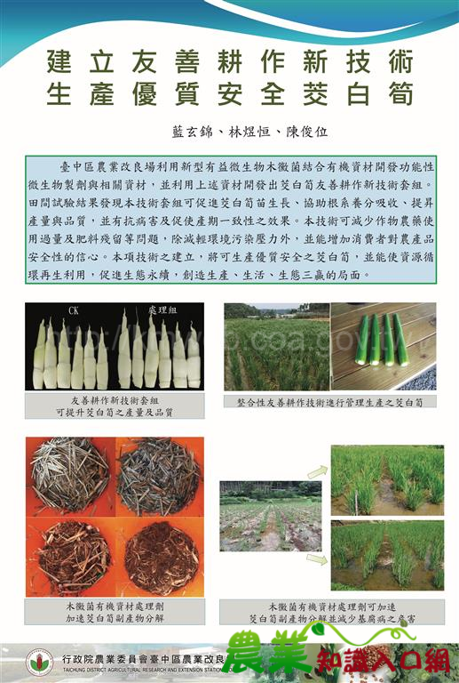 20180130臺中區農業改良場記者會-建立友善耕作新技術，生產優質安全茭白筍