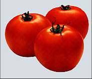 世界第一個商業生產的基因改造番茄－『番茄一號』
