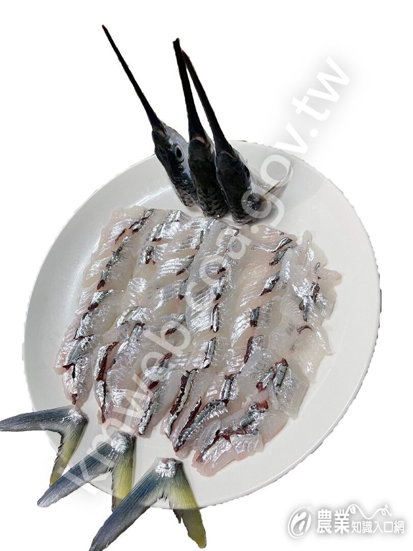 斑鱵生魚片