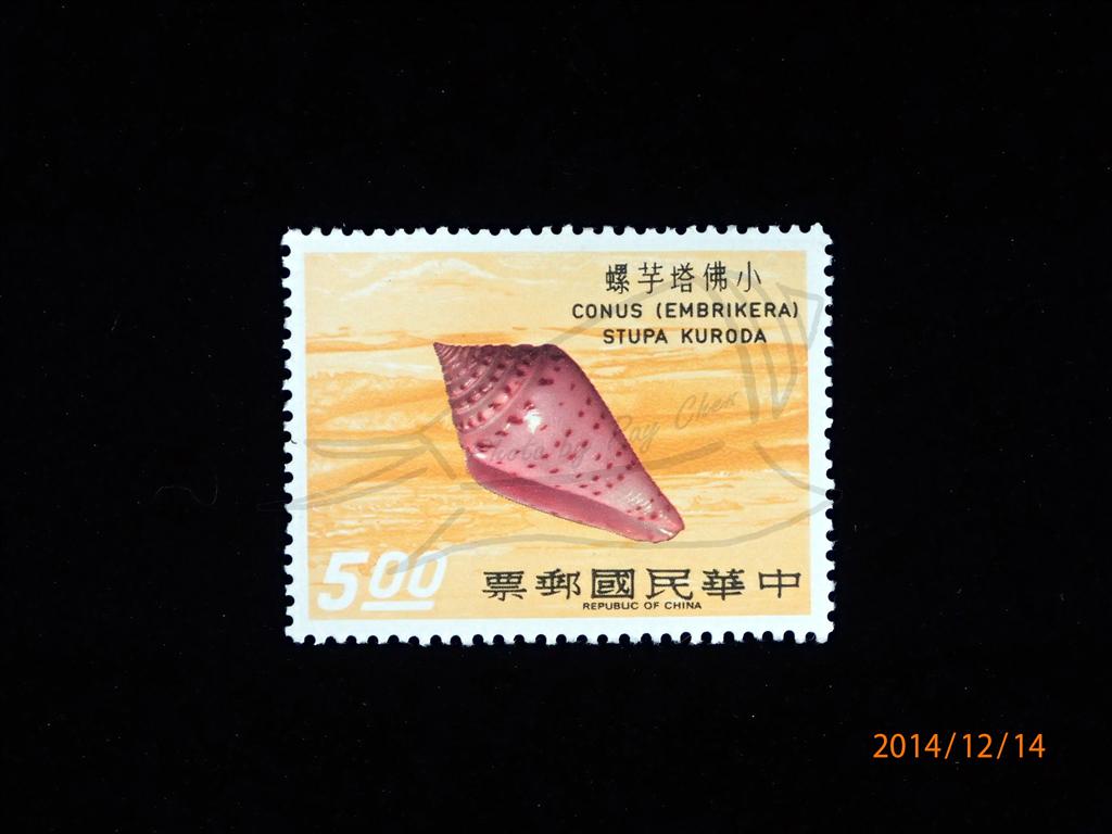 臺灣第一套以貝殼為題材的郵票-小佛塔芋螺