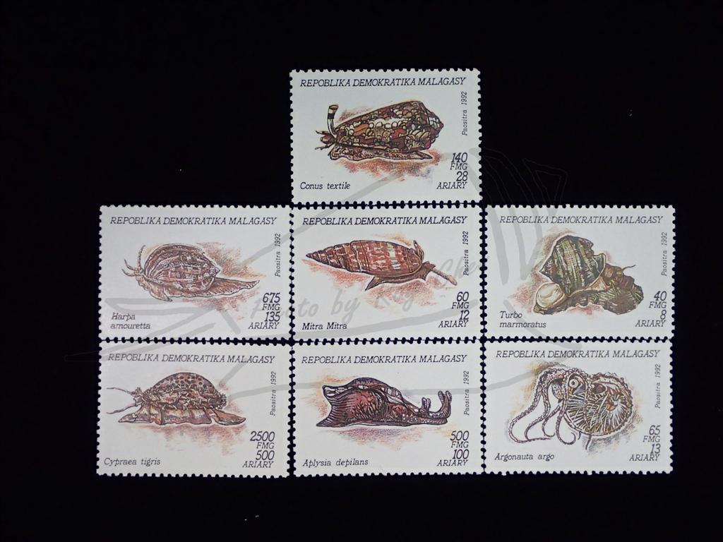 馬達加斯加1992年貝類郵票