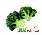 超保健蔬菜青花菜