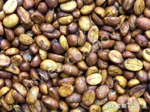 半水洗(蜜處理)咖啡生豆