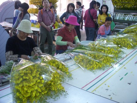高屏地區熱帶花卉產業參訪紀實
