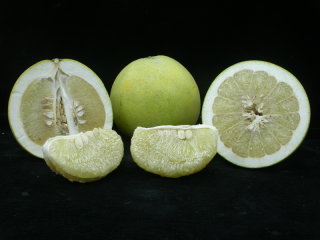 麻豆白柚