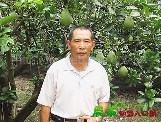 王明杞 ( 臺南市麻豆區果樹產銷班第 3 班 ) －來自麻豆的文旦品質保證