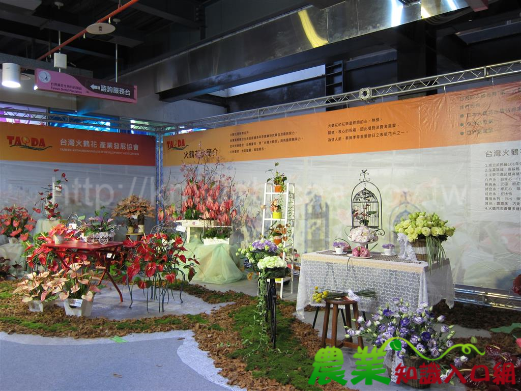 2016臺灣國際蘭展外銷花卉佈置區