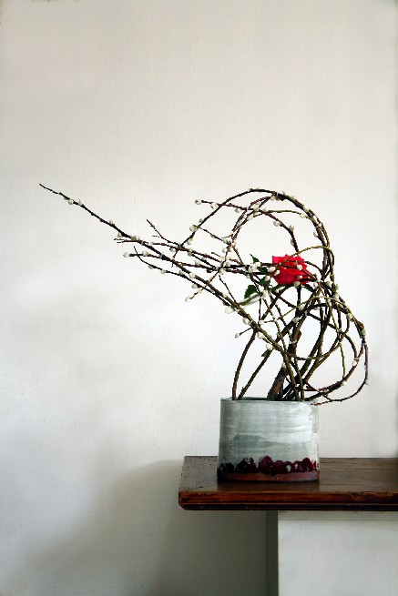 盆栽銀柳之創意與花藝設計
