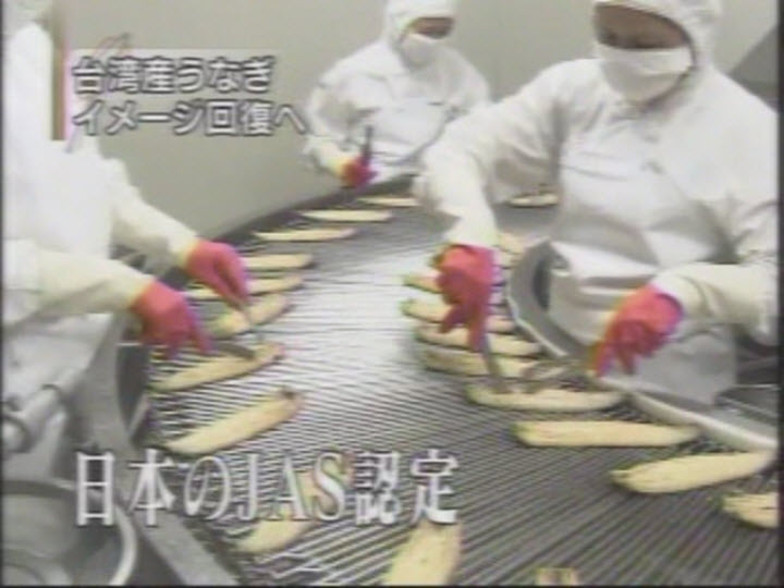 NHK採訪-獲得日本JAS認證的鰻魚
