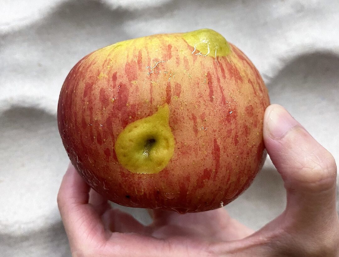 蘋果表皮不明凸起物和凹陷