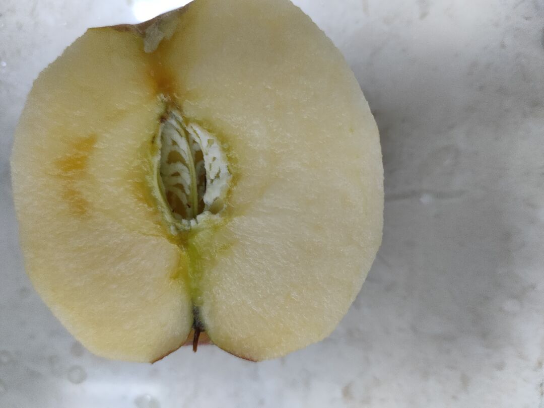 蘋果是否發黴了？如圖片